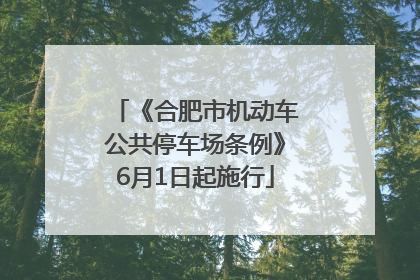 《合肥市机动车公共停车场条例》6月1日起施行