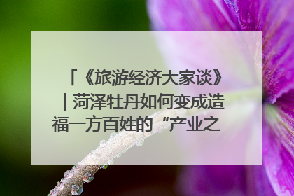 《旅游经济大家谈》｜菏泽牡丹如何变成造福一方百姓的“产业之花”“富民之花”？