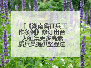 《湖南省征兵工作条例》修订出台 为征集更多高素质兵员提供坚强法治保障