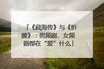 《藏海传》与《折腰》：男频剧、女频剧都在“爱”什么