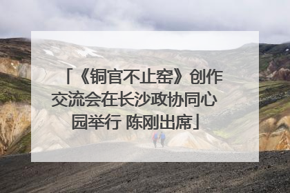 《铜官不止窑》创作交流会在长沙政协同心园举行 陈刚出席
