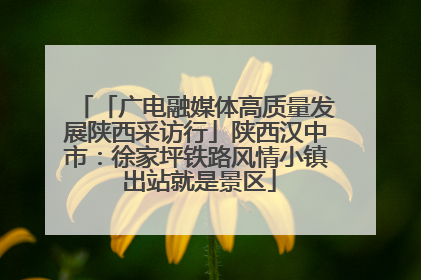 「广电融媒体高质量发展陕西采访行」陕西汉中市：徐家坪铁路风情小镇 出站就是景区