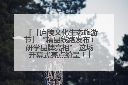 「庐陵文化生态旅游节」“精品线路发布+研学品牌亮相” 这场开幕式亮点纷呈！