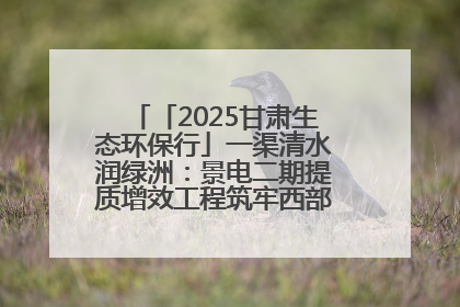「2025甘肃生态环保行」一渠清水润绿洲：景电二期提质增效工程筑牢西部生态安全屏障