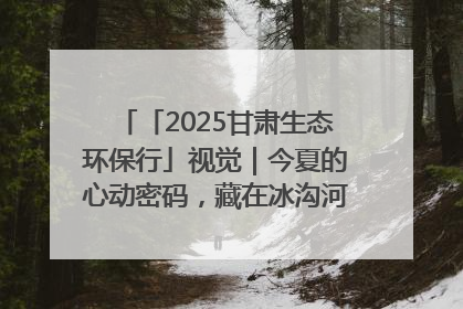 「2025甘肃生态环保行」视觉｜今夏的心动密码，藏在冰沟河的潋滟波光里