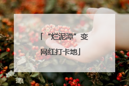 “烂泥潭”变网红打卡地