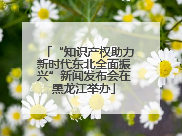 “知识产权助力新时代东北全面振兴”新闻发布会在黑龙江举办