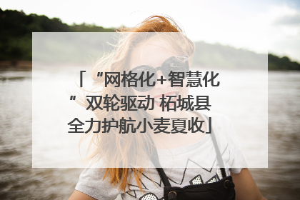 “网格化+智慧化”双轮驱动 柘城县全力护航小麦夏收