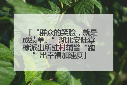 “群众的笑脸，就是成绩单。”湖北安陆棠棣派出所驻村辅警“跑”出幸福加速度