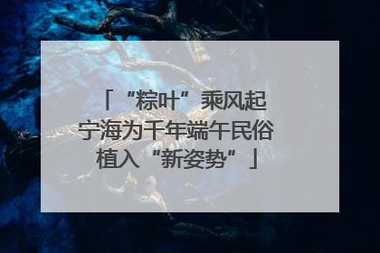 “粽叶”乘风起 宁海为千年端午民俗植入“新姿势”