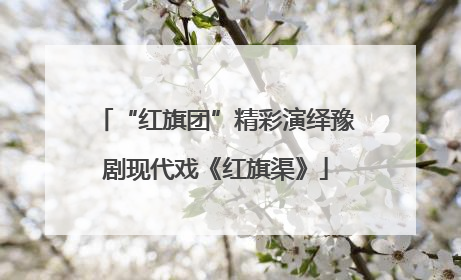 “红旗团”精彩演绎豫剧现代戏《红旗渠》