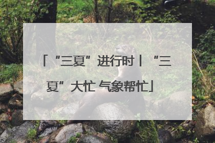“三夏”进行时丨“三夏”大忙 气象帮忙