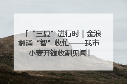 “三夏”进行时｜金浪翻涌“智”收忙——我市小麦开镰收割见闻