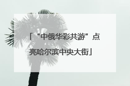 “中俄华彩共游”点亮哈尔滨中央大街