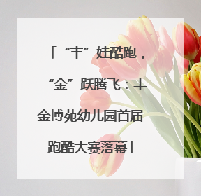 “丰”娃酷跑，“金”跃腾飞：丰金博苑幼儿园首届跑酷大赛落幕