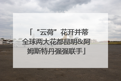 “云荷”花开并蒂 全球两大花都昆明&阿姆斯特丹强强联手