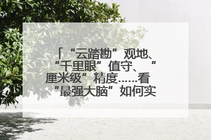 “云踏勘”观地、“千里眼”值守、“厘米级”精度……看“最强大脑”如何实现智慧治理