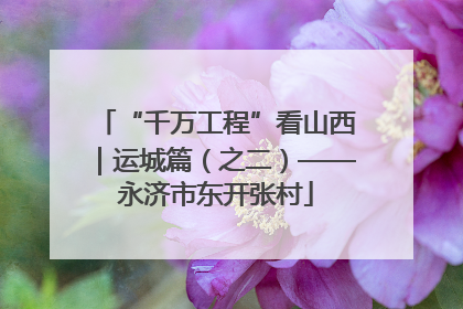 “千万工程”看山西｜运城篇（之二）——永济市东开张村