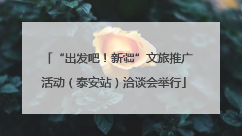 “出发吧！新疆”文旅推广活动（泰安站）洽谈会举行
