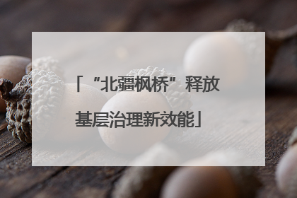 “北疆枫桥”释放基层治理新效能