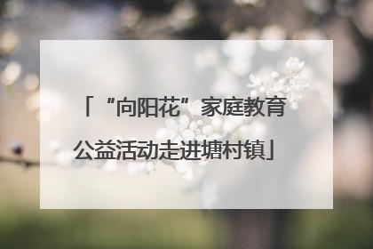 “向阳花”家庭教育公益活动走进塘村镇
