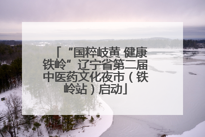 “国粹岐黄 健康铁岭”辽宁省第二届中医药文化夜市（铁岭站）启动