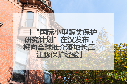 “国际小型鲸类保护研究计划”在汉发布，将向全球推介落地长江江豚保护经验
