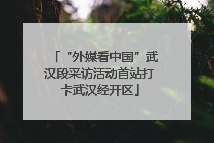 “外媒看中国”武汉段采访活动首站打卡武汉经开区