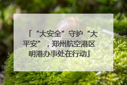 “大安全”守护“大平安”，郑州航空港区明港办事处在行动