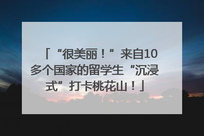 “很美丽！”来自10多个国家的留学生“沉浸式”打卡桃花山！
