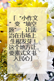 “小作文”变“填空题”，让法治在市场上生根发芽！这个地方让要素式文书入民心