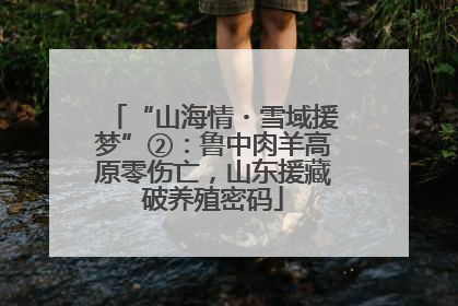 “山海情・雪域援梦”②：鲁中肉羊高原零伤亡，山东援藏破养殖密码
