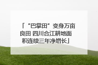 “巴掌田”变身万亩良田 四川合江耕地面积连续三年净增长