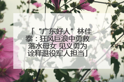 “广东好人”林佳泰：狂风巨浪中勇救落水母女 见义勇为诠释退役军人担当