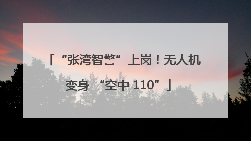 “张湾智警”上岗！无人机变身 “空中 110”