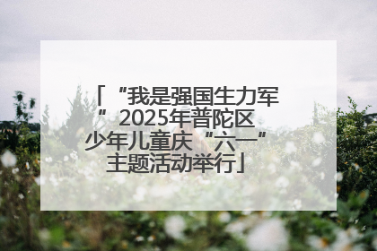 “我是强国生力军”2025年普陀区少年儿童庆“六一”主题活动举行