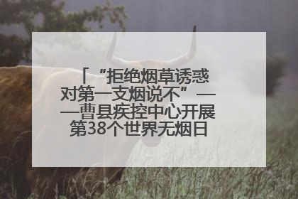 “拒绝烟草诱惑 对第一支烟说不”——曹县疾控中心开展第38个世界无烟日科普宣传活动