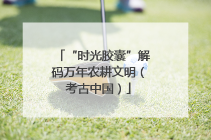 “时光胶囊”解码万年农耕文明（考古中国）