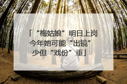 “梅姑娘”明日上岗 今年她可能“出镜”少但“戏份”重