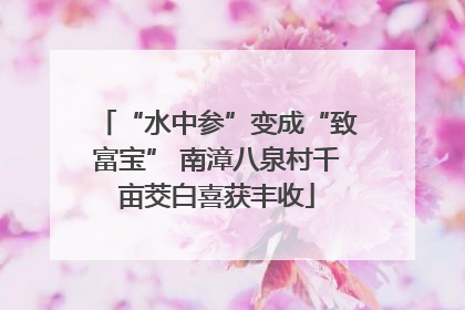 “水中参”变成“致富宝” 南漳八泉村千亩茭白喜获丰收