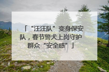 “汪汪队”变身保安队，春节警犬上岗守护群众“安全感”