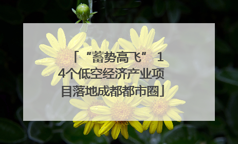 “蓄势高飞” 14个低空经济产业项目落地成都都市圈