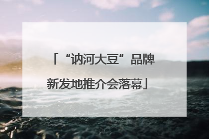 “讷河大豆”品牌新发地推介会落幕