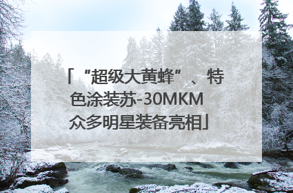 “超级大黄蜂”、特色涂装苏-30MKM 众多明星装备亮相