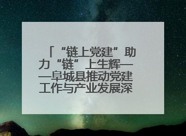 “链上党建”助力“链”上生辉——阜城县推动党建工作与产业发展深度融合