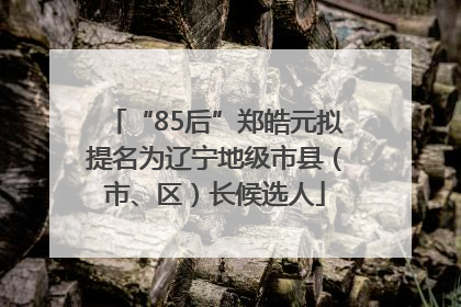 “85后”郑皓元拟提名为辽宁地级市县（市、区）长候选人