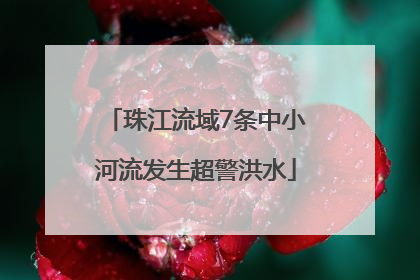 珠江流域7条中小河流发生超警洪水
