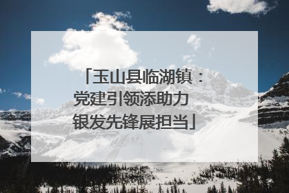 玉山县临湖镇：党建引领添助力 银发先锋展担当