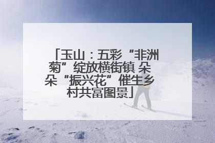 玉山：五彩“非洲菊”绽放横街镇 朵朵“振兴花”催生乡村共富图景