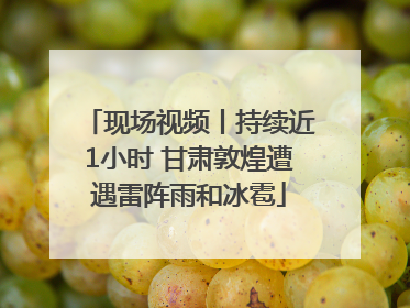 现场视频丨持续近1小时 甘肃敦煌遭遇雷阵雨和冰雹